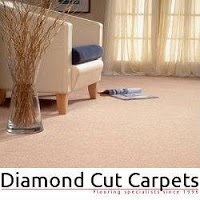 Diamond Cut Carpets 351504 Image 3